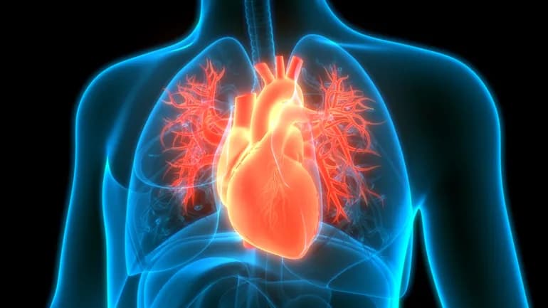 Federal Agency Bets $62.7 Million on Autonomous AI to Replace Missing Cardiologists